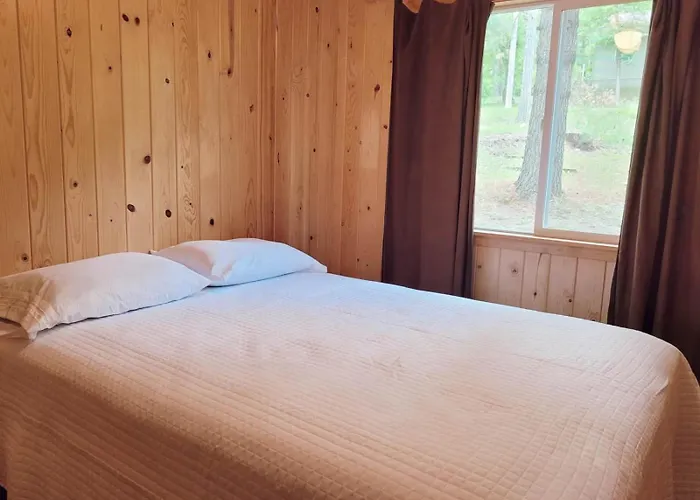 Cabin 7 | Daybreak